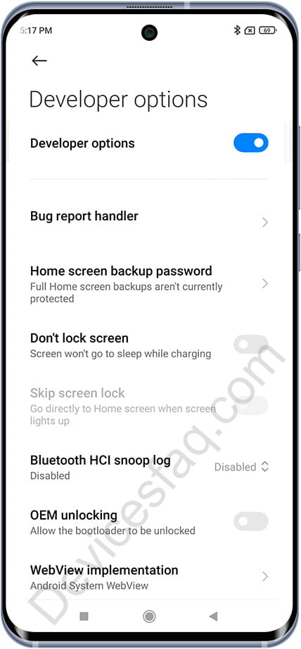 Developer options on