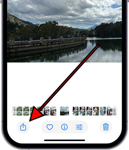 Export from gallery on iPhone